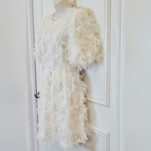 Endless Rose Cream Abstract Textured Mesh Puff Sleeve Mini Dress,Medium - Picture 5 of 16